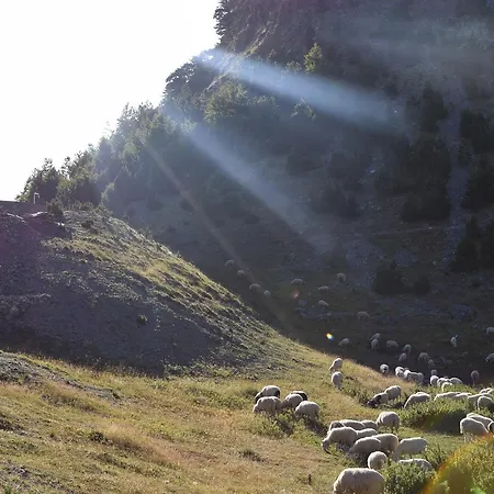 Buni I Bajraktarit Hostel *