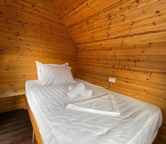 Buni I Bajraktarit * Boge